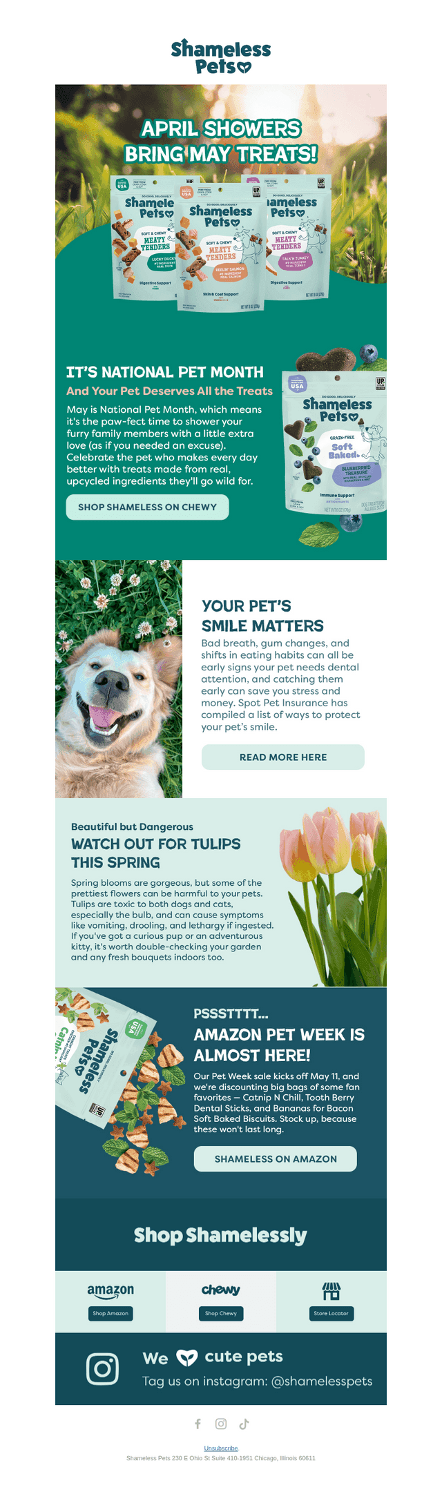Keep Pets Away from This Plant 🌷