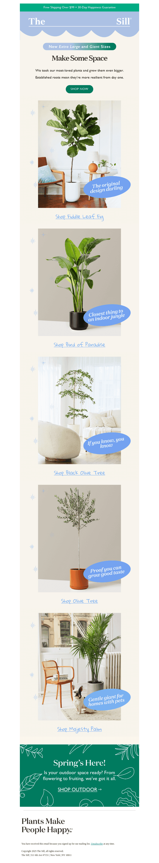 Your favorite plants, supersized!