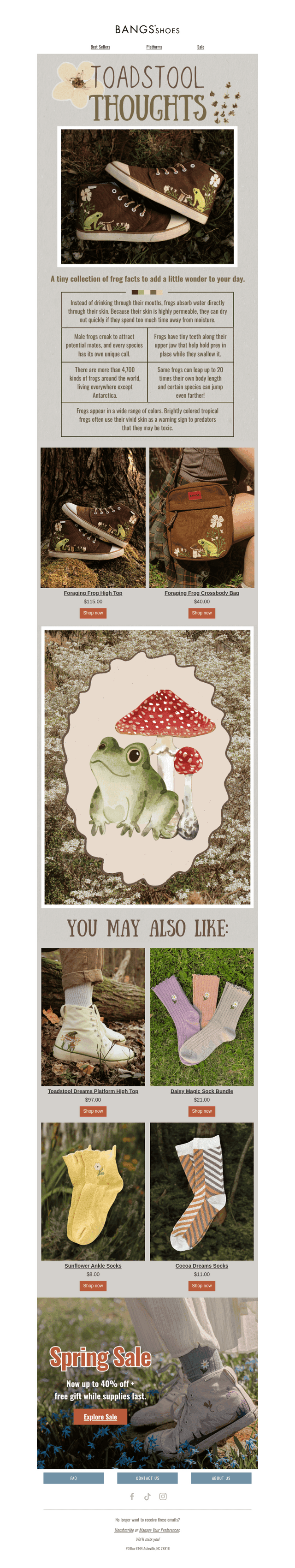 Toadstool Thoughts 🍄☁️🐸
