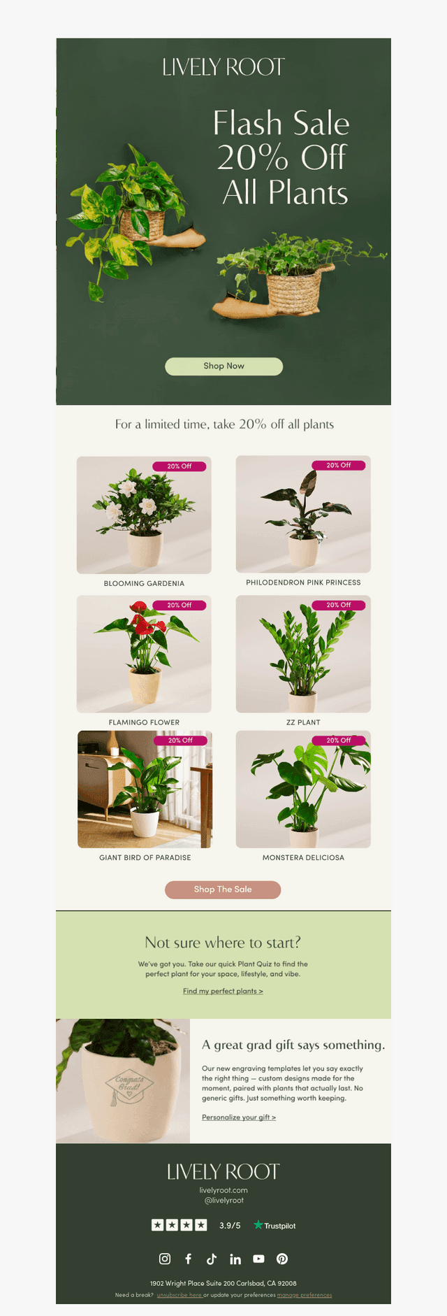20% off all plants - limited time only!🪴🪴🪴