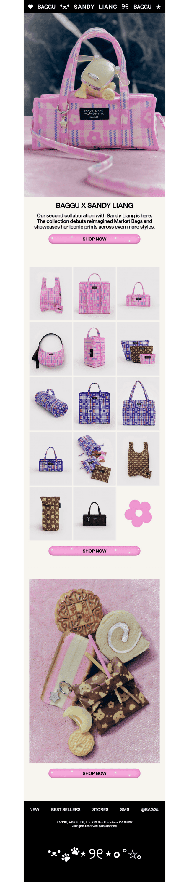 It's Here! BAGGU x Sandy Liang