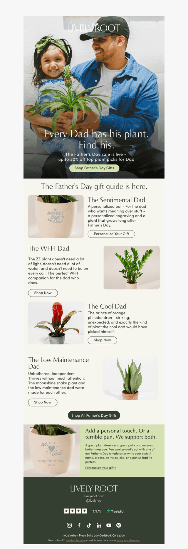 Lively Root email from Thu, Jun 11, 2026