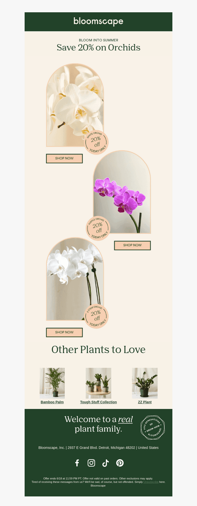 Bloom Into Summer Savings! 🌸