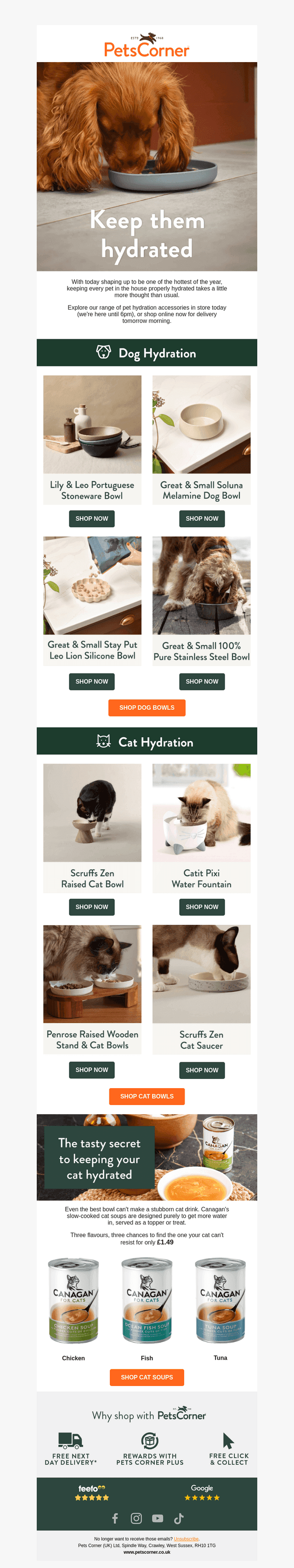 Stylish Hydration for Happy Pets! 💧