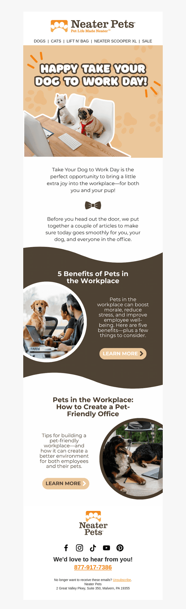 Bringing Your Dog to Work? 🐶👔