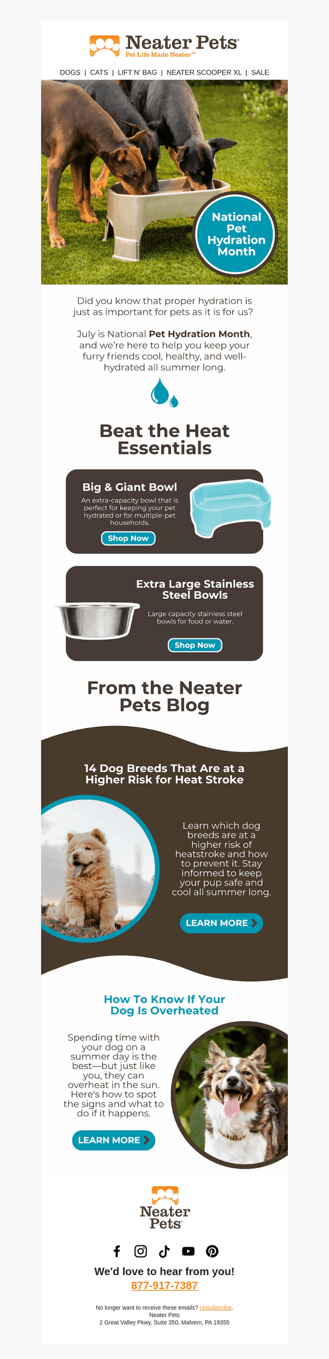 💧 It's National Pet Hydration Month!