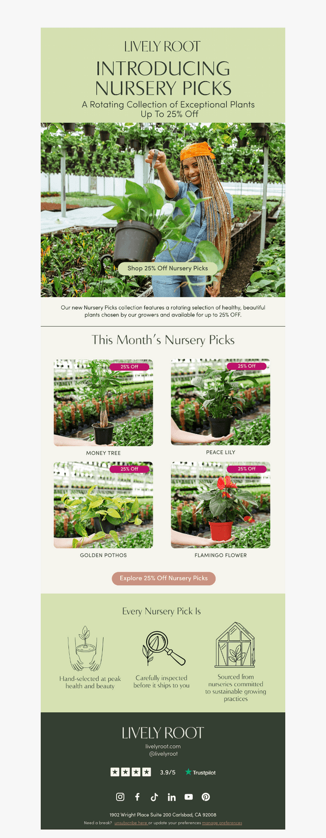 This Month's Nursery Picks Are Waiting 🌱