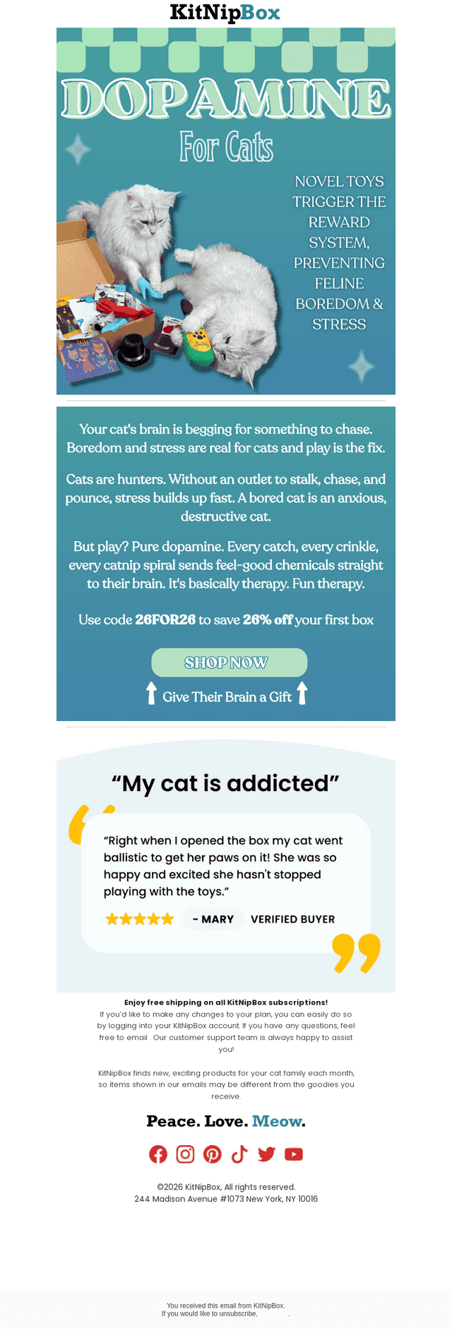 Turns Out Your Cat Needs Therapy. We Made it Fun. 📦