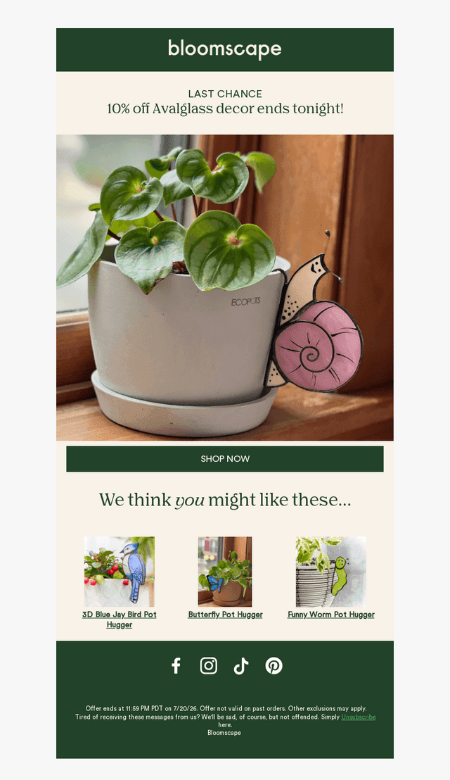 Last chance to save on avalglass decor!