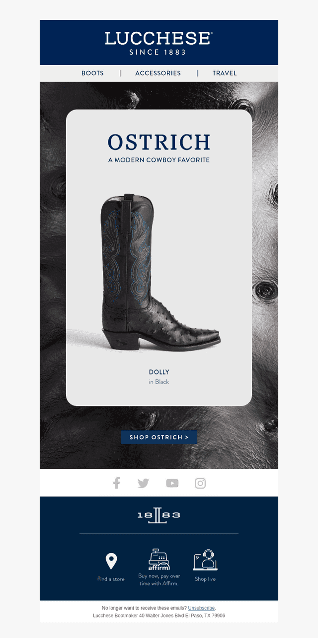 Ostrich: A Modern Cowboy Favorite