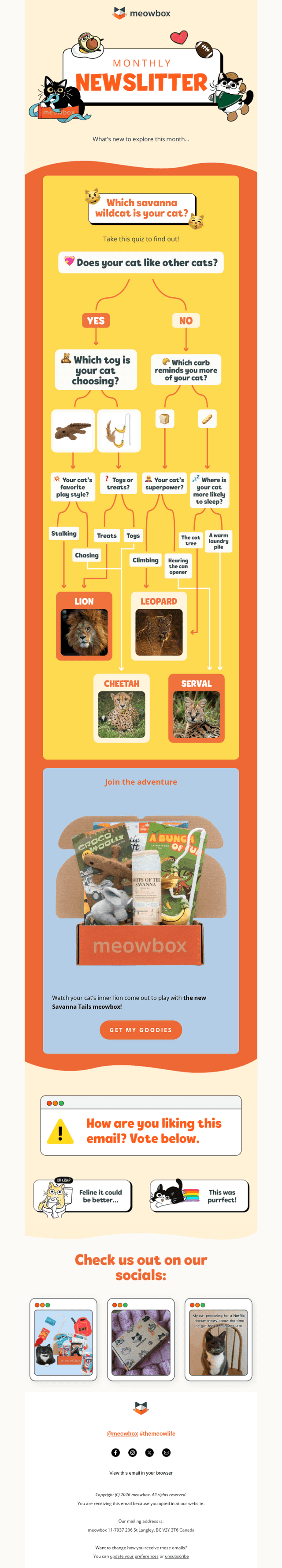 meowbox email from Tue, Jul 21, 2026