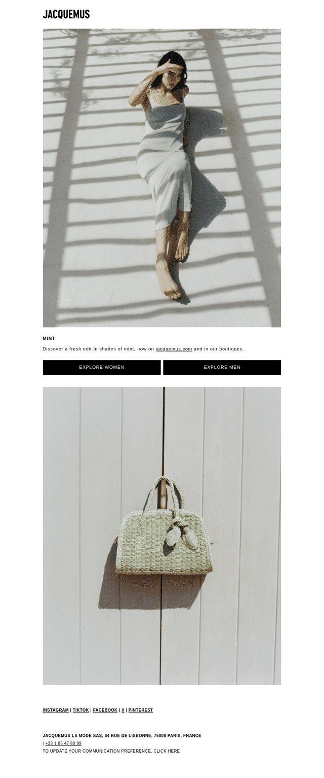 THE COLOR PALETTE