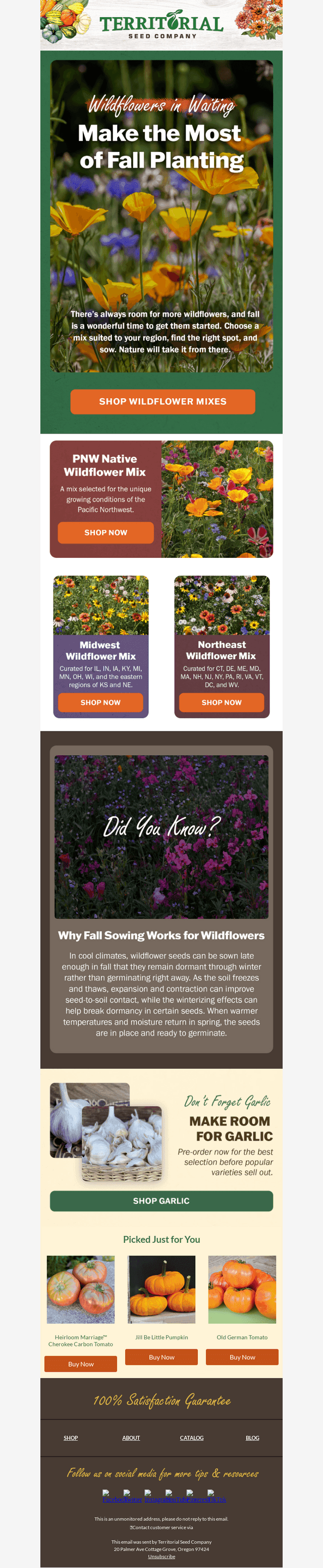 Your wildflowers are waiting 🌱