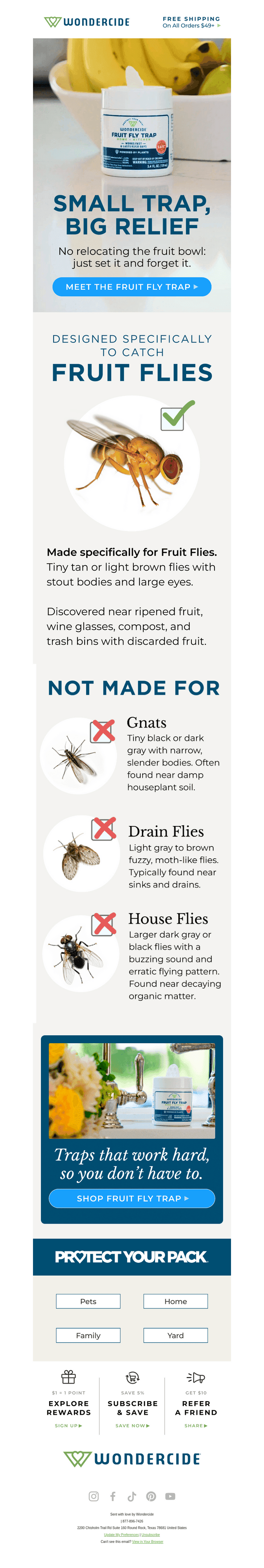 🍌 Keep the Fruit, Ditch the Fruit Flies