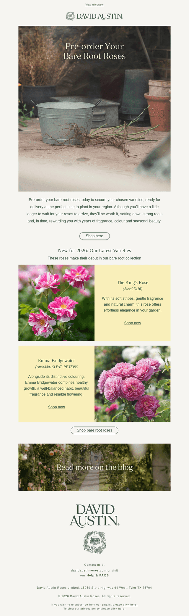 David Austin Roses - US email from Wed, Sep 16, 2026