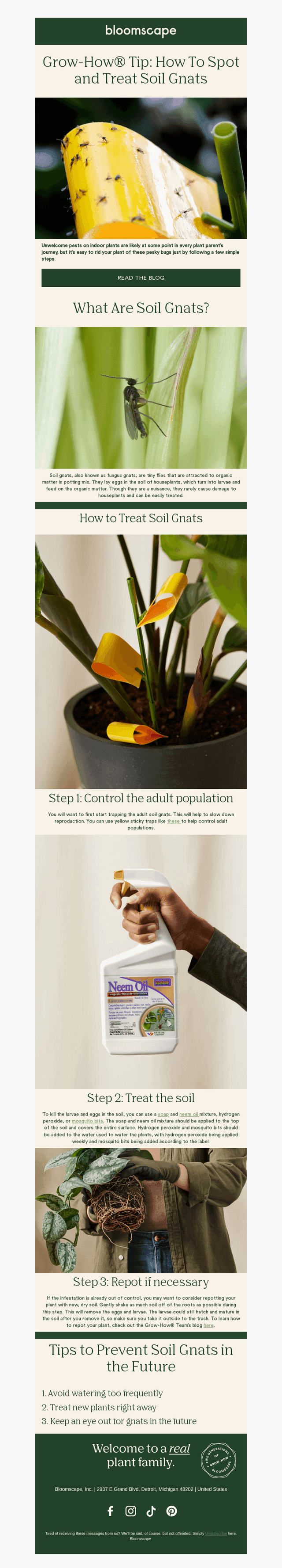 Say goodbye to soil gnats! 🪰