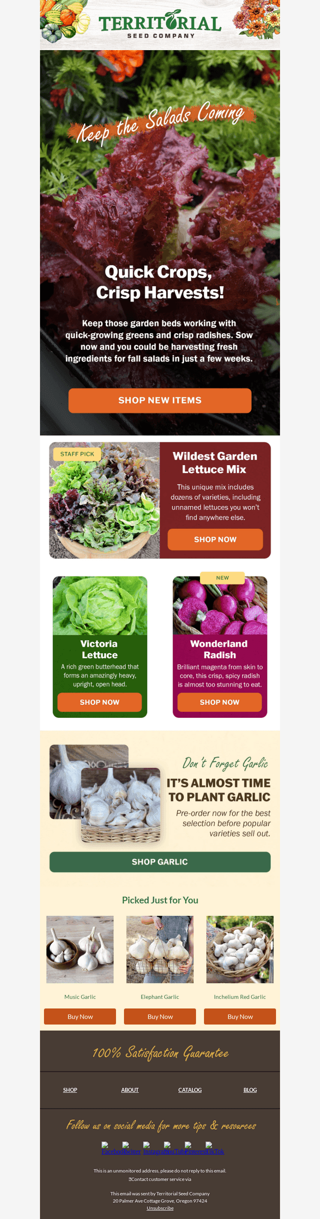 Quick crops to sow now! 🥗🌱