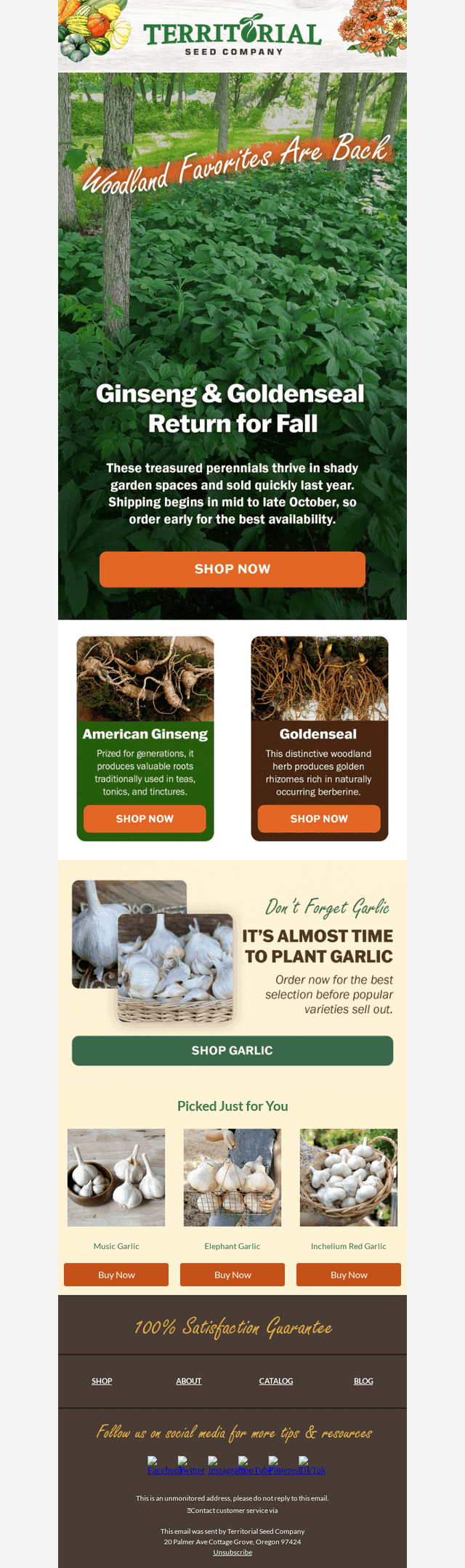 Ginseng & Goldenseal are back!🌱