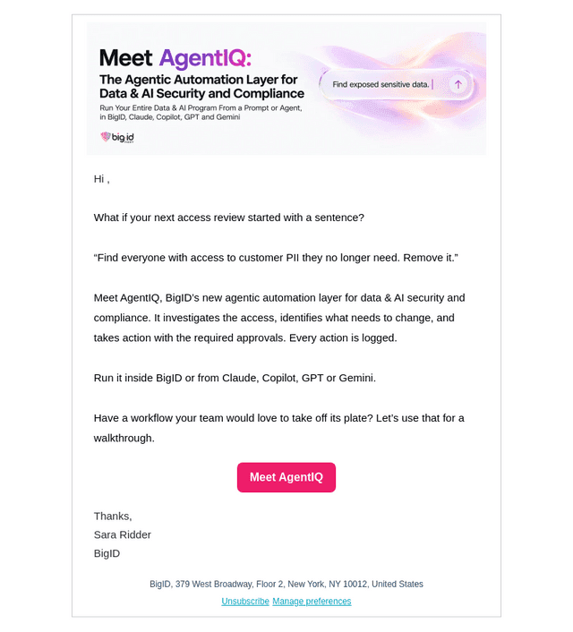 New from BigID: Meet AgentIQ