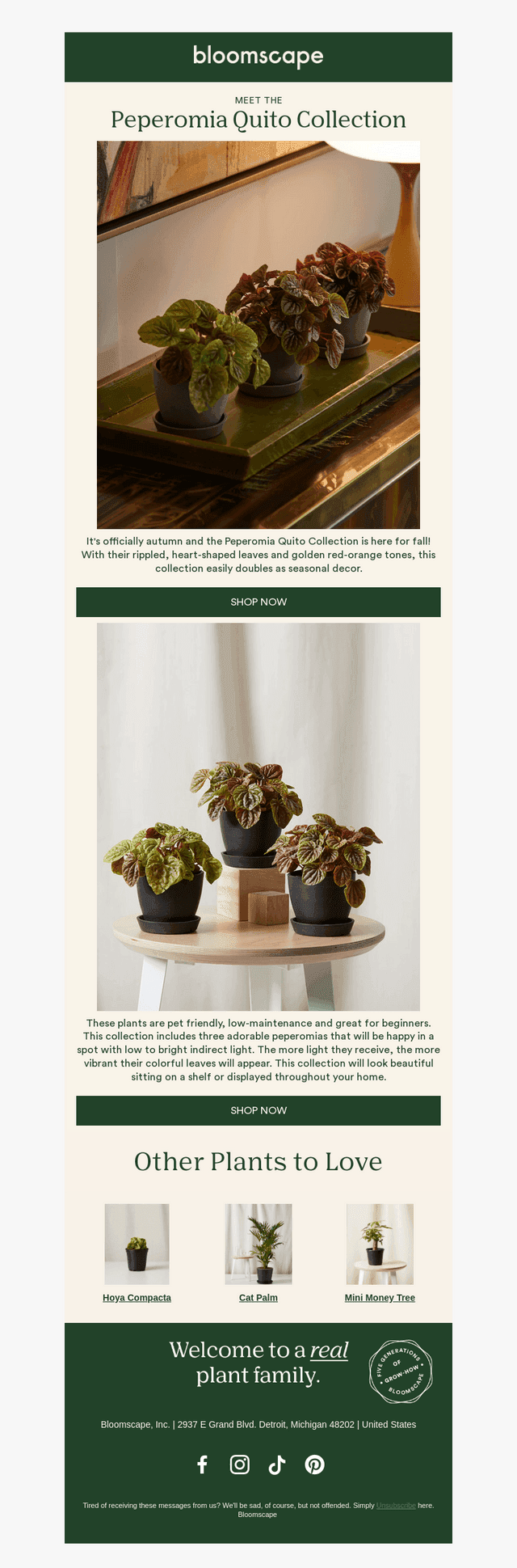 Meet Your New Favorite Fall Plants!