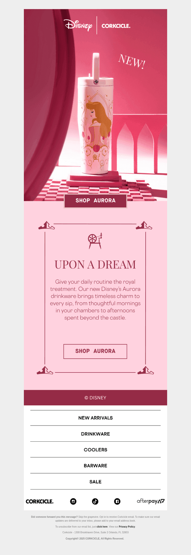 A Very Royal Welcome to Aurora 👑