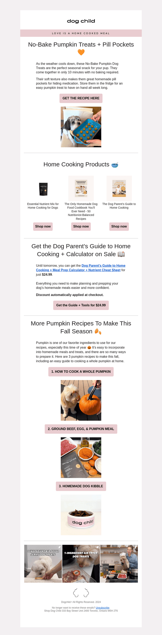 Dog Child email from Sun, Sep 27, 2026