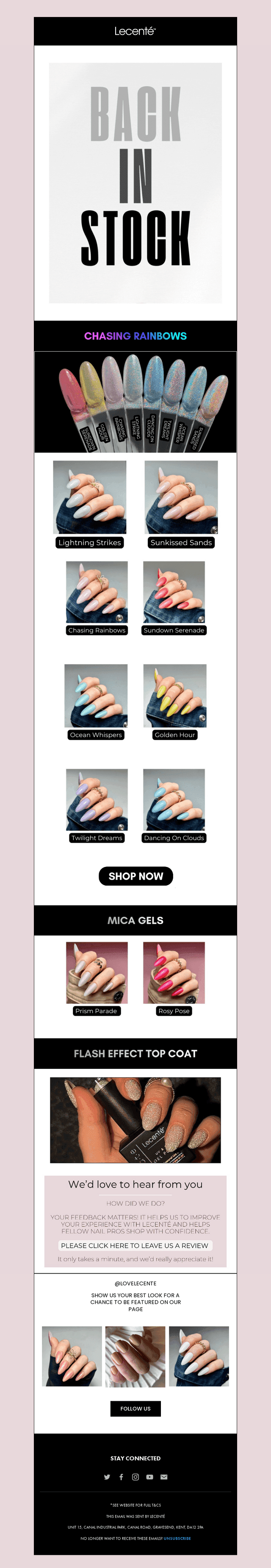 You Sold Them Out… They're Back! 🌈