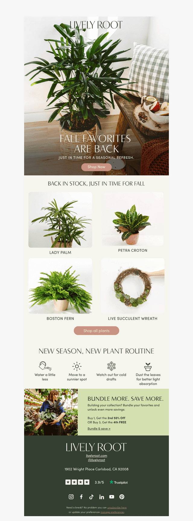 Back in stock, just in time for fall 🍂
