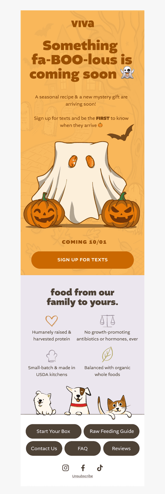 Viva Raw email from Tue, Sep 29, 2026
