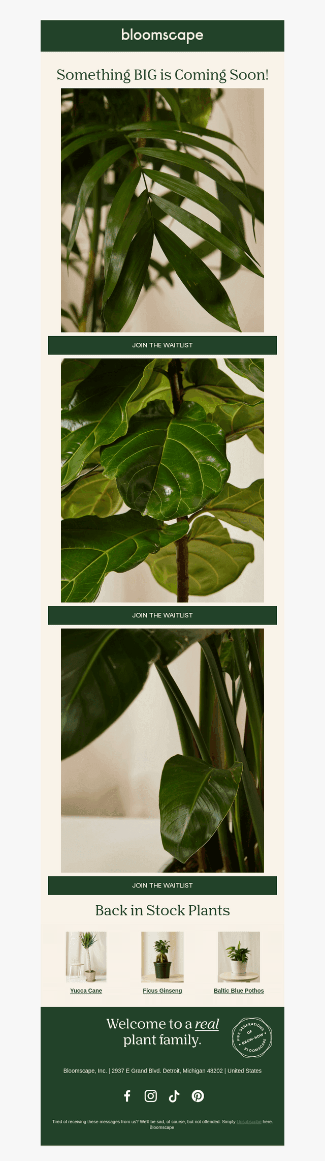 Bloomscape email from Fri, Oct 2, 2026