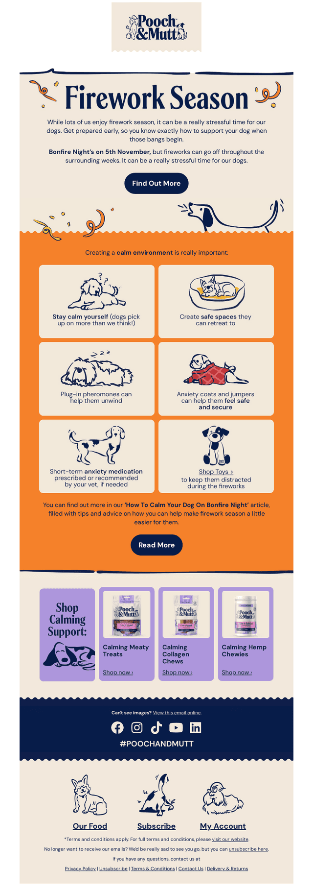 🎇 Top Tips for Calm Dogs During Fireworks!