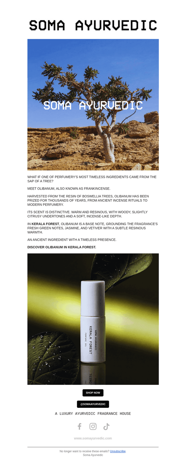 Soma Ayurvedic email from Sat, Oct 24, 2026