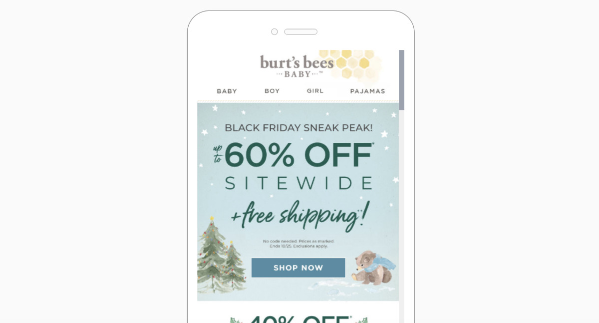 Black Friday Email Example